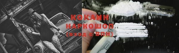 ПСИЛОЦИБИНОВЫЕ ГРИБЫ Богданович