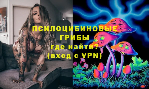 ПСИЛОЦИБИНОВЫЕ ГРИБЫ Богданович