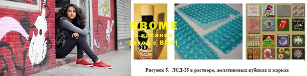 PSILOCYBIN Богородицк