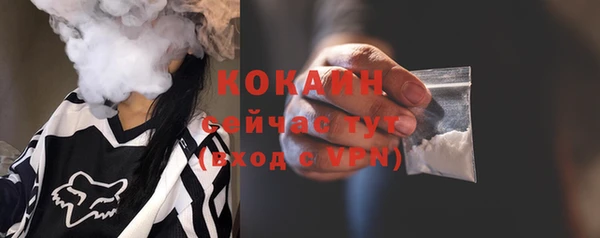 ПСИЛОЦИБИНОВЫЕ ГРИБЫ Богданович