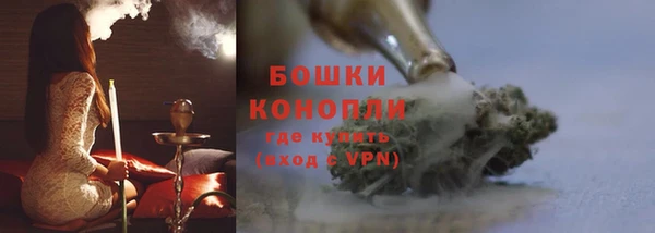 ПСИЛОЦИБИНОВЫЕ ГРИБЫ Богданович