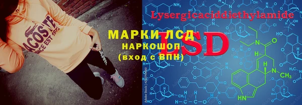 ПСИЛОЦИБИНОВЫЕ ГРИБЫ Богданович